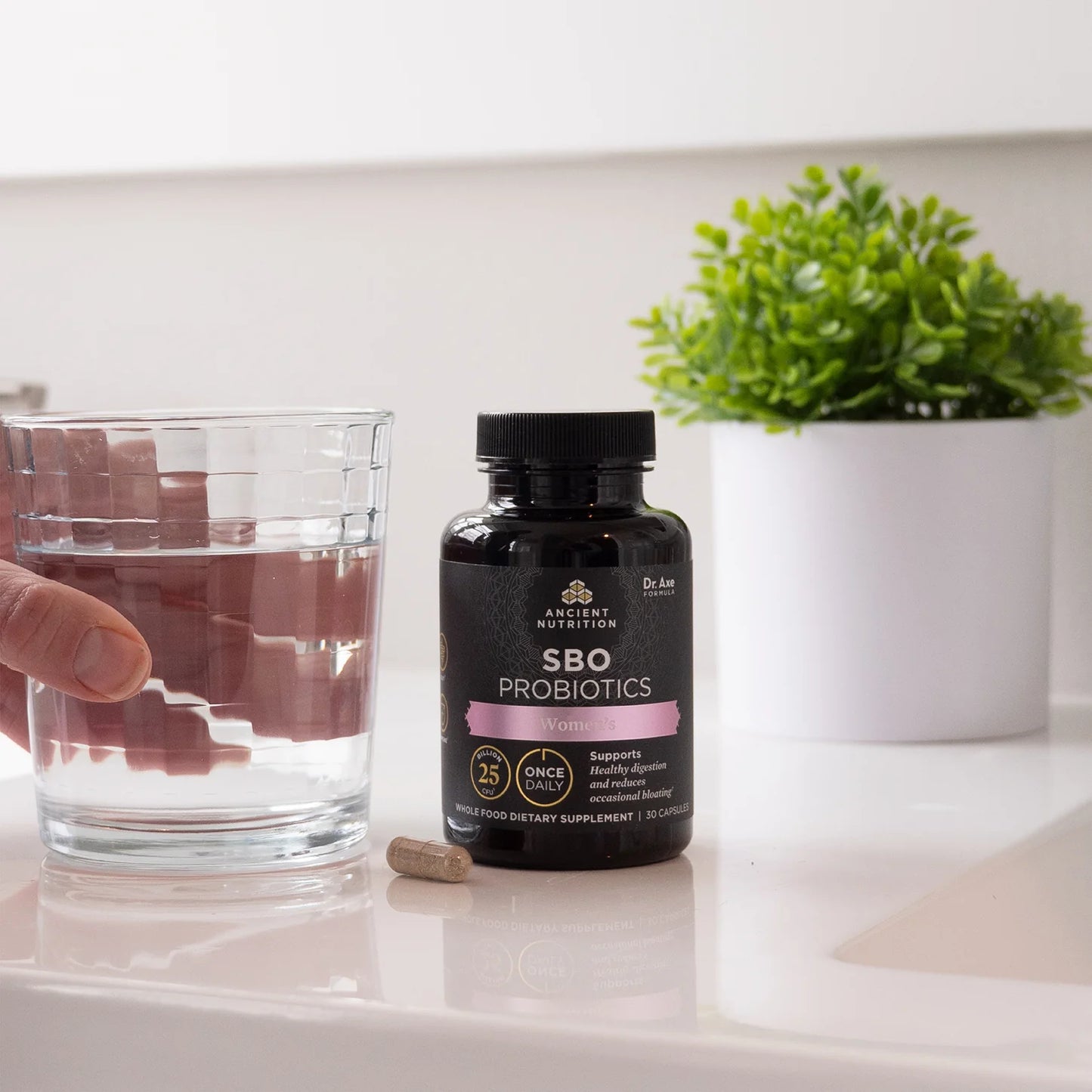 Ancient Nutrition SBO Probiotic - Once Daily - Women's - 30 ct