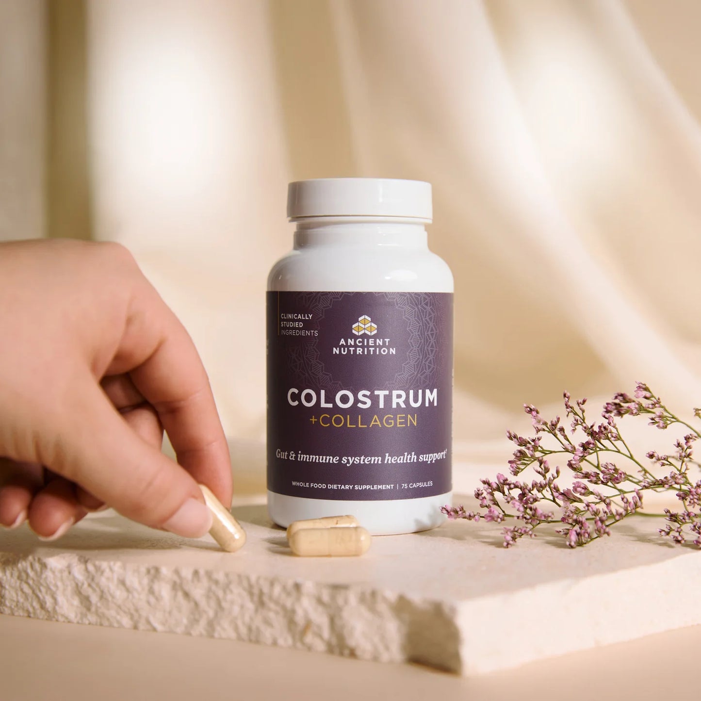 Ancient Nutrition Colostrum + Collagen 75ct