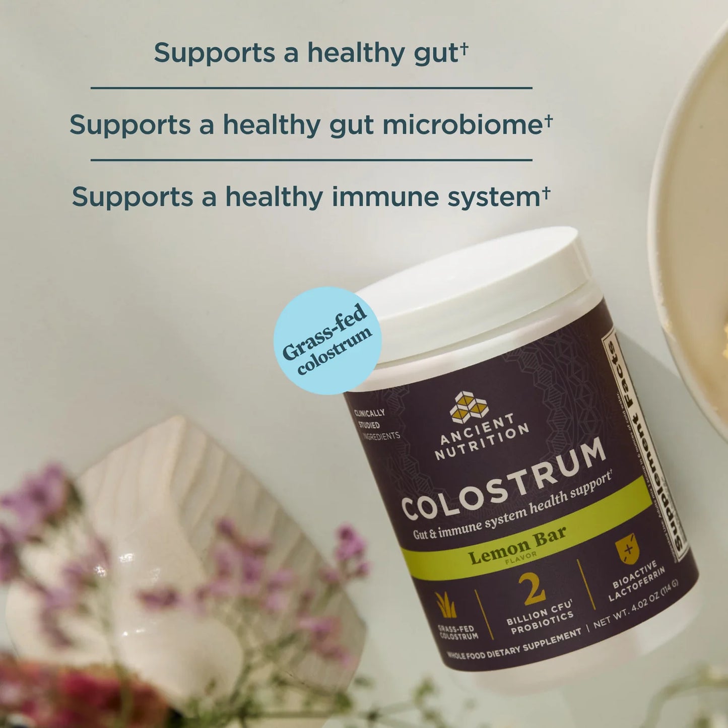 Ancient Nutrition Colostrum Lemon Bar