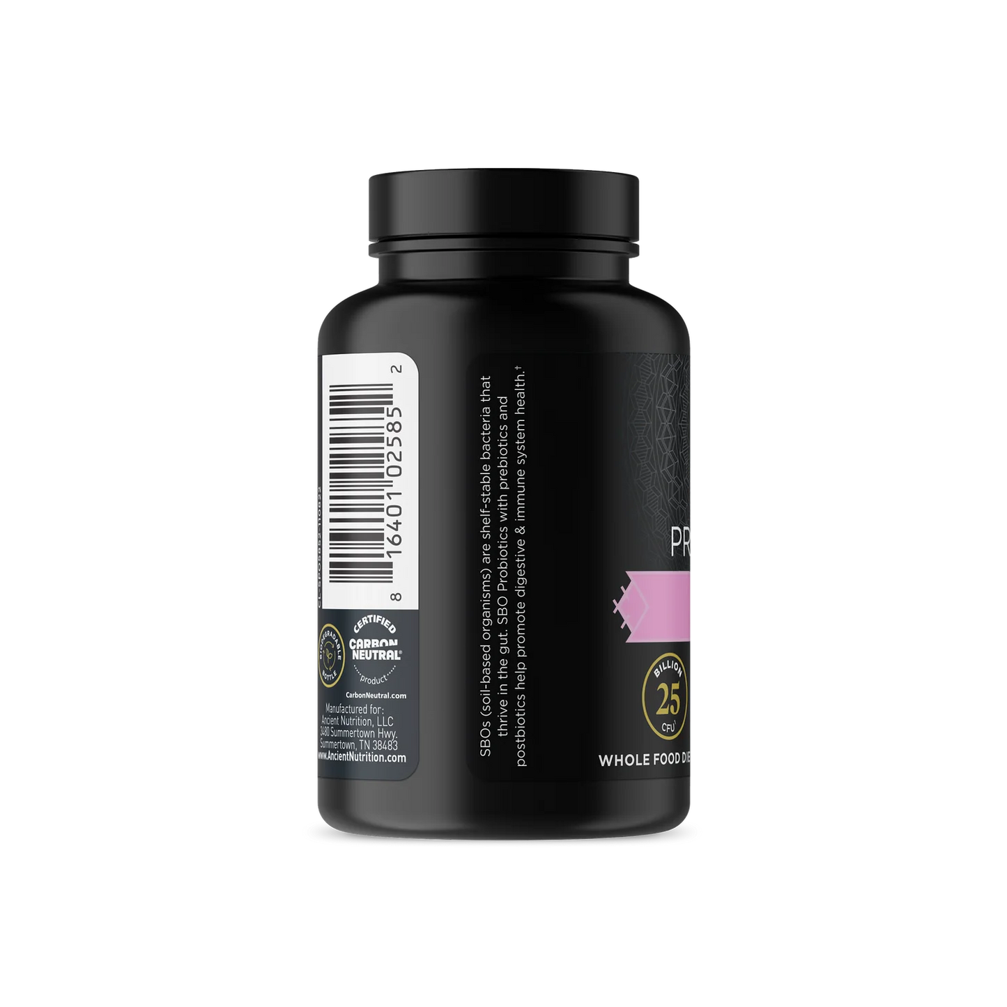 Ancient Nutrition SBO Probiotic - Once Daily - Women's - 30 ct