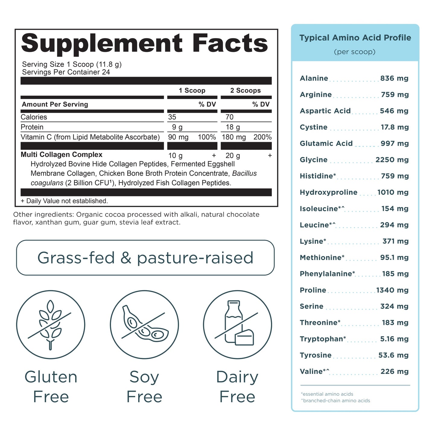 Multi Collagen Protein - Chocolate - 24 Serving