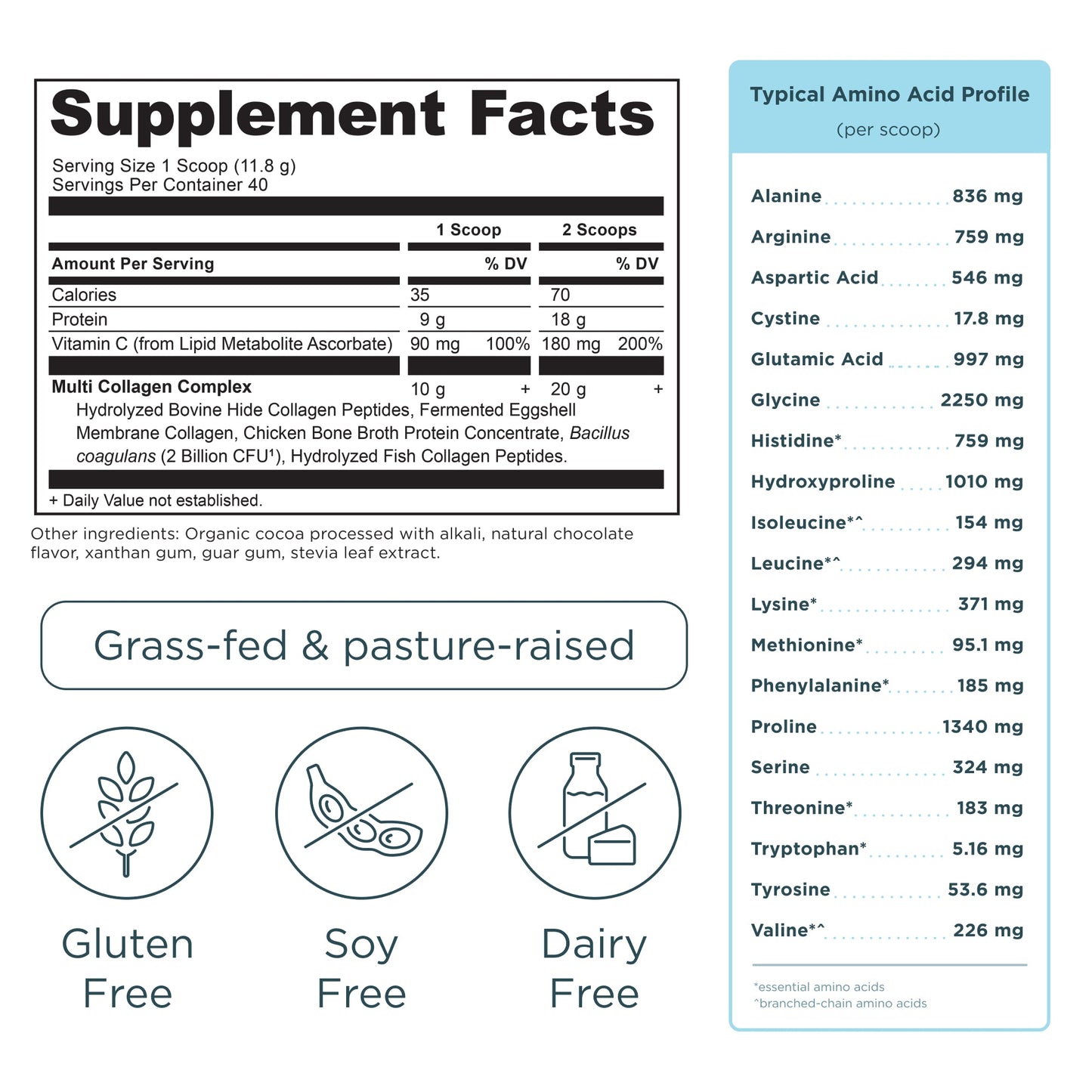 Multi Collagen Protein - Chocolate - 45 Serving