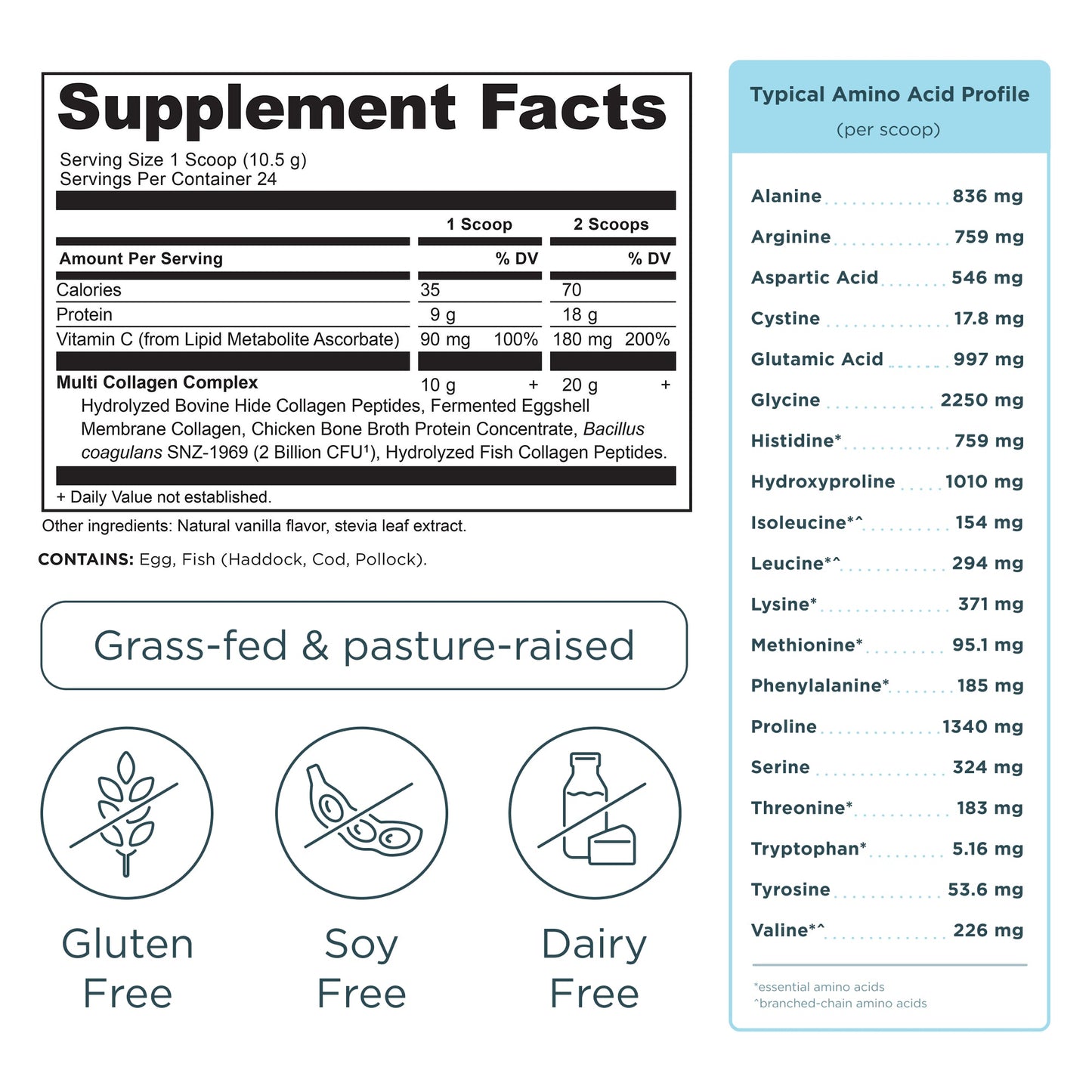 Multi Collagen Protein - Vanilla - 24 Serving