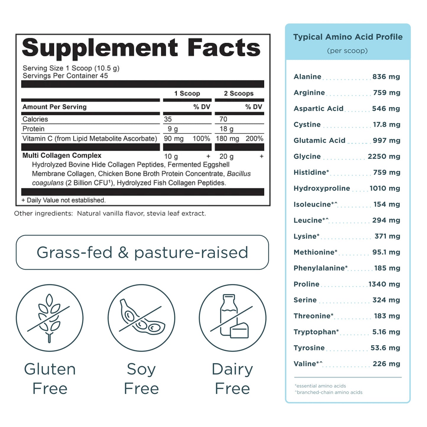 Multi Collagen Protein - Vanilla - 45 Serving