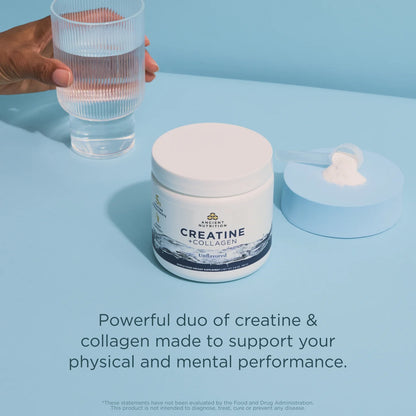 Ancient Nutrition Creatine + Collagen Unflavored