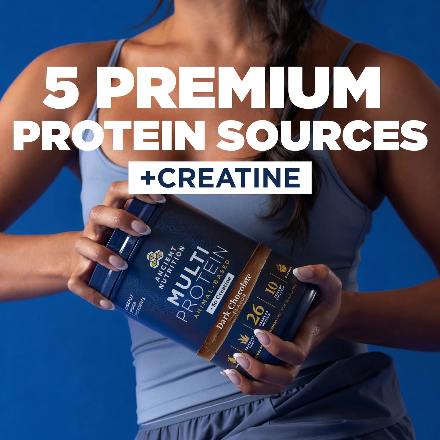 Ancient Nutrition Multi Protein Animal Based + Creatine Dark Chocolate
