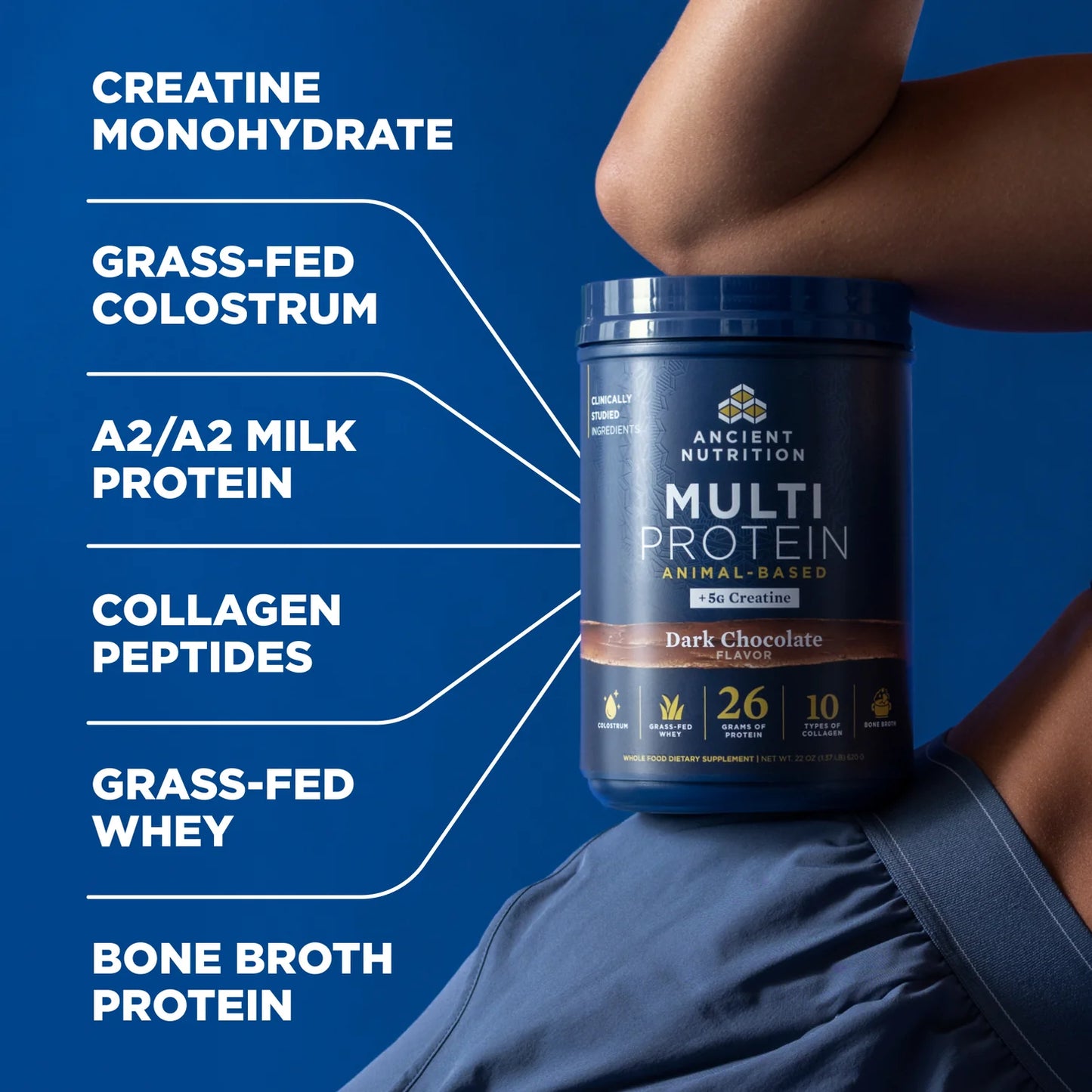 Ancient Nutrition Multi Protein Animal Based + Creatine Dark Chocolate