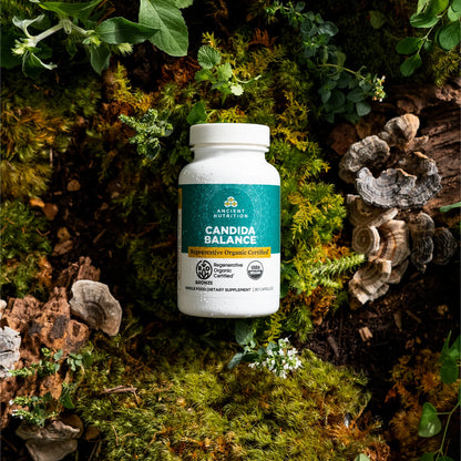 Ancient Nutrition Regenerative Certified Organic Candida Balance 90 capsule