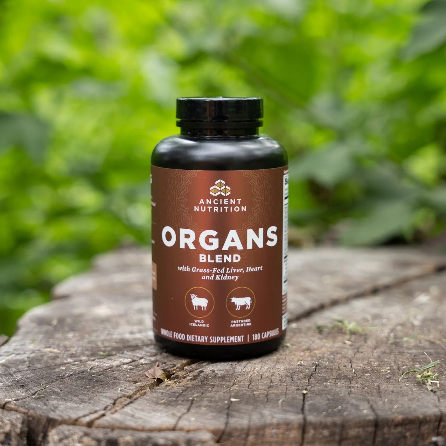 Ancient Glandulars - Organs Blend - Capsules - 180 ct