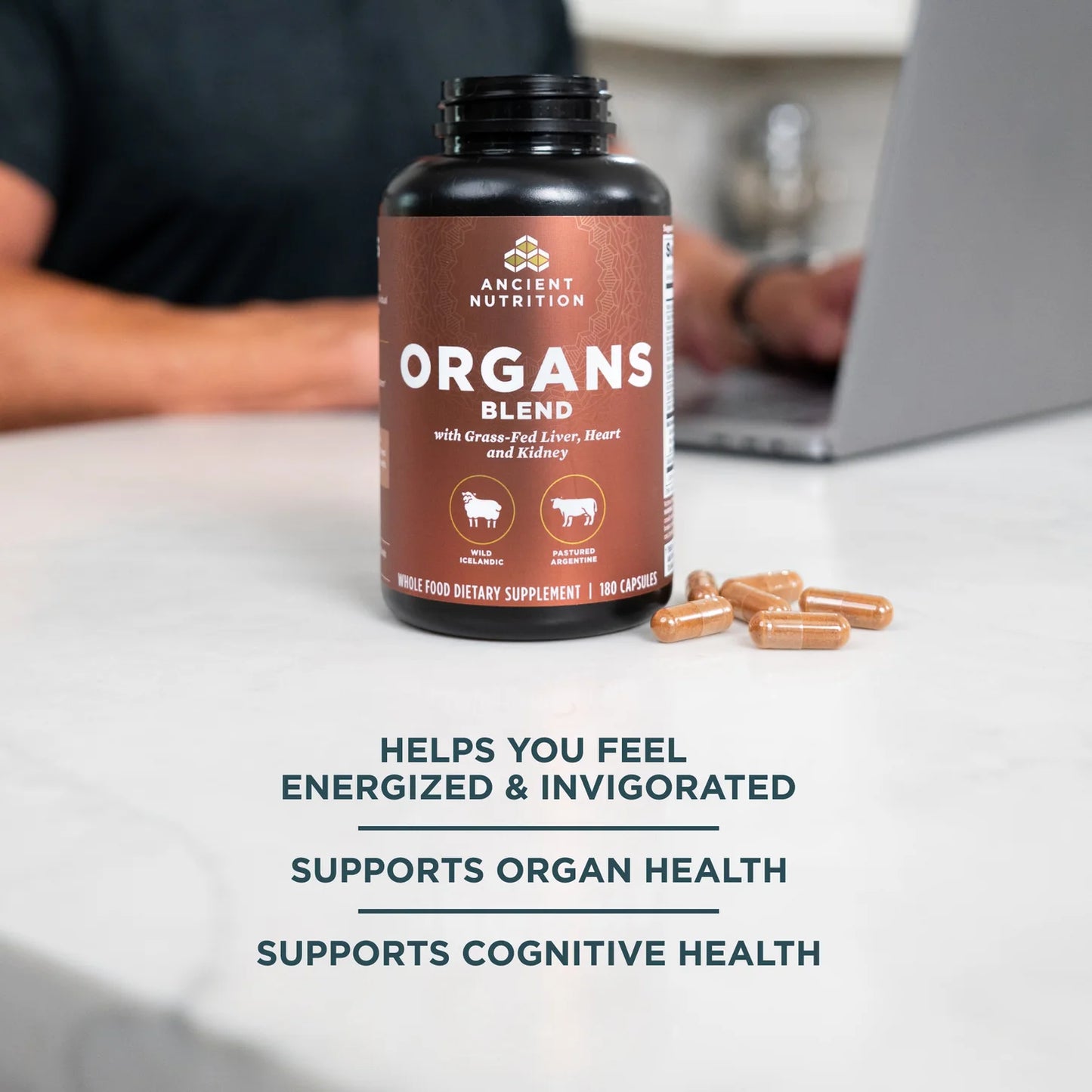 Ancient Glandulars - Organs Blend - Capsules - 180 ct
