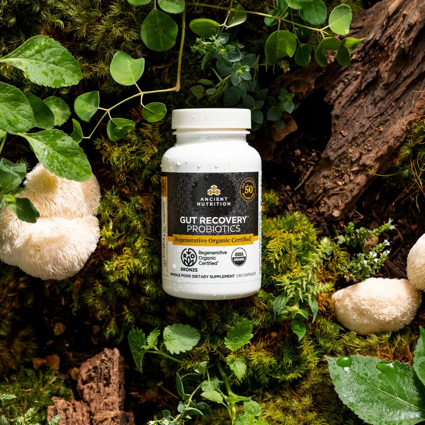 Ancient Nutrition Regenerative Organic Certified™ Gut Recovery Probiotics