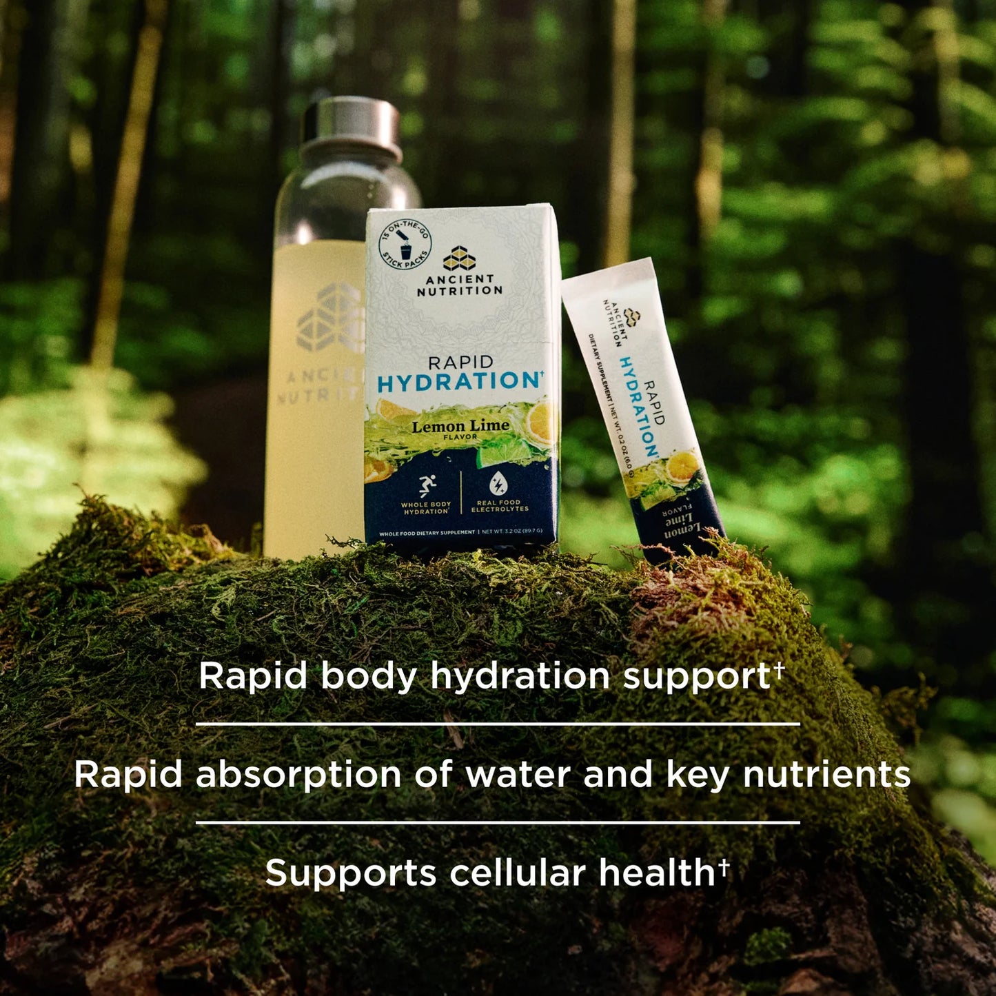 Ancient Nutrition Rapid Hydration Lemon Lime