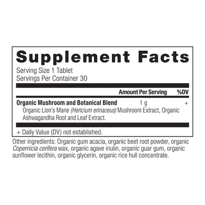 Ancient Mushrooms - Organic Lion's Mane Once Daily - Tablet - 30 ct