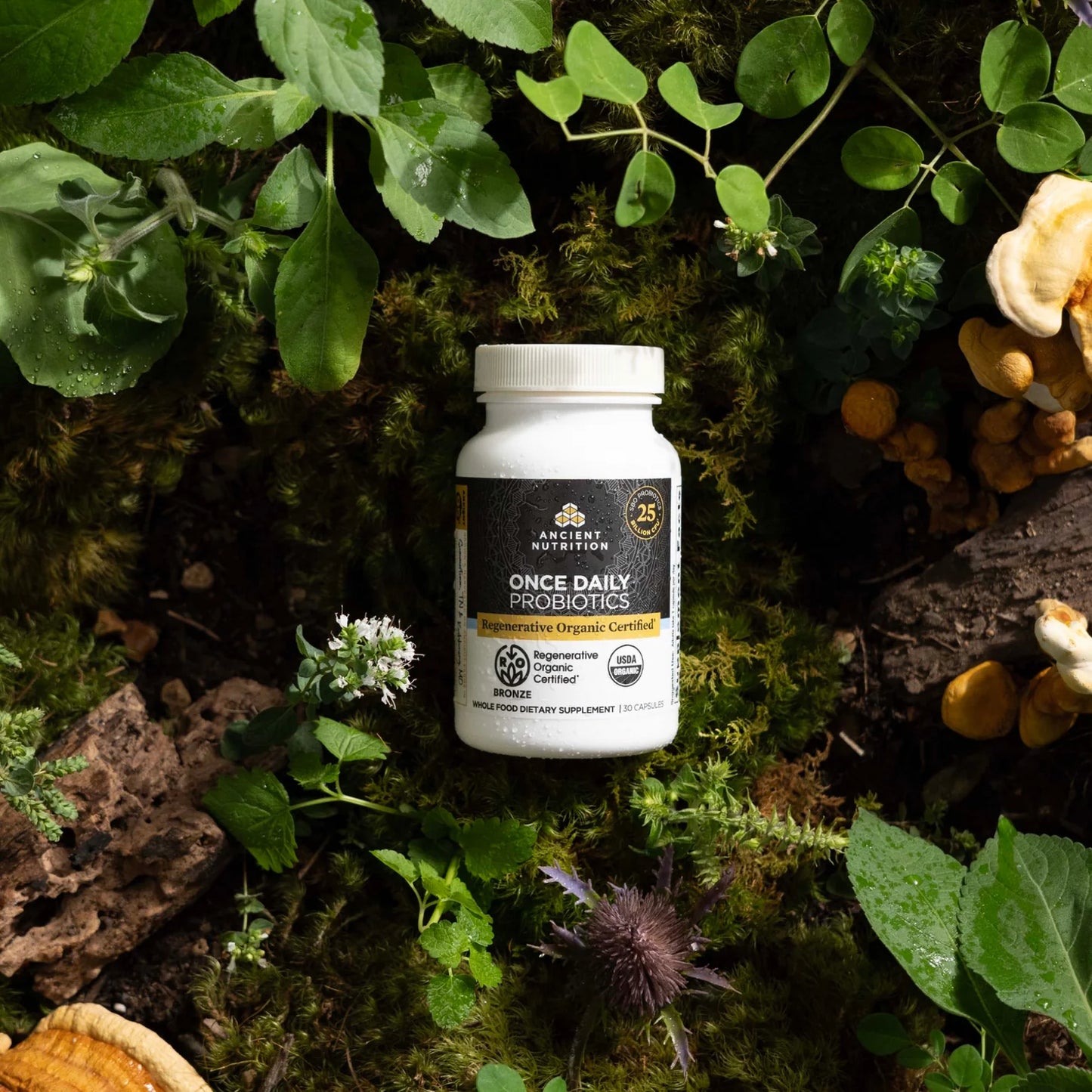 Ancient Nutrition Regenerative Organic Certified™ Once Daily Probiotics 30 capsules