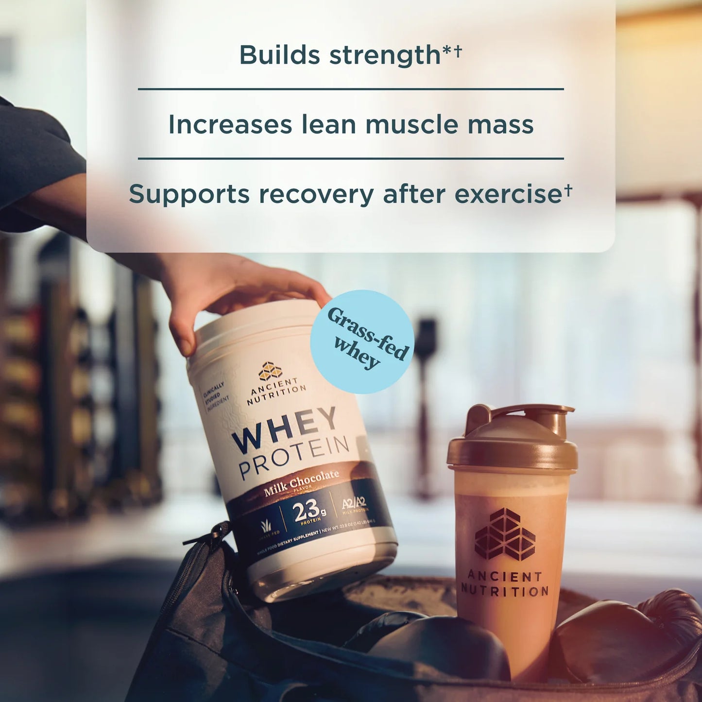 Ancient Nutrition Whey Protein  Milk Chocolate