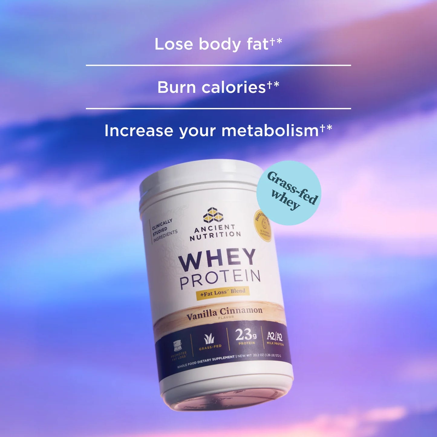 Ancient Nutrition Vanilla Cinnamon Fat Loss Blend Whey Protein