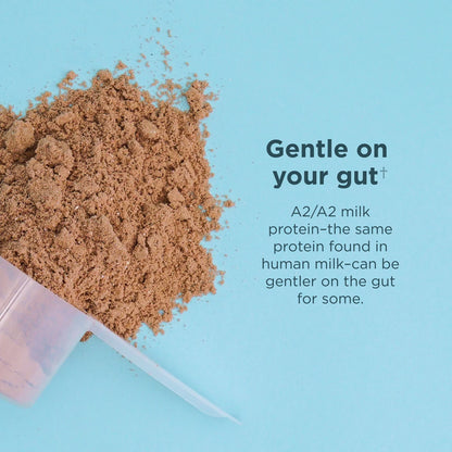 Ancient Nutrition Whey Protein  Milk Chocolate