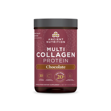 Ancient Nutrition Multi Collagen Protein Chocolate 24 servings