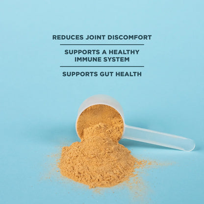 Ancient Nutrition Bone Broth Protein Turmeric
