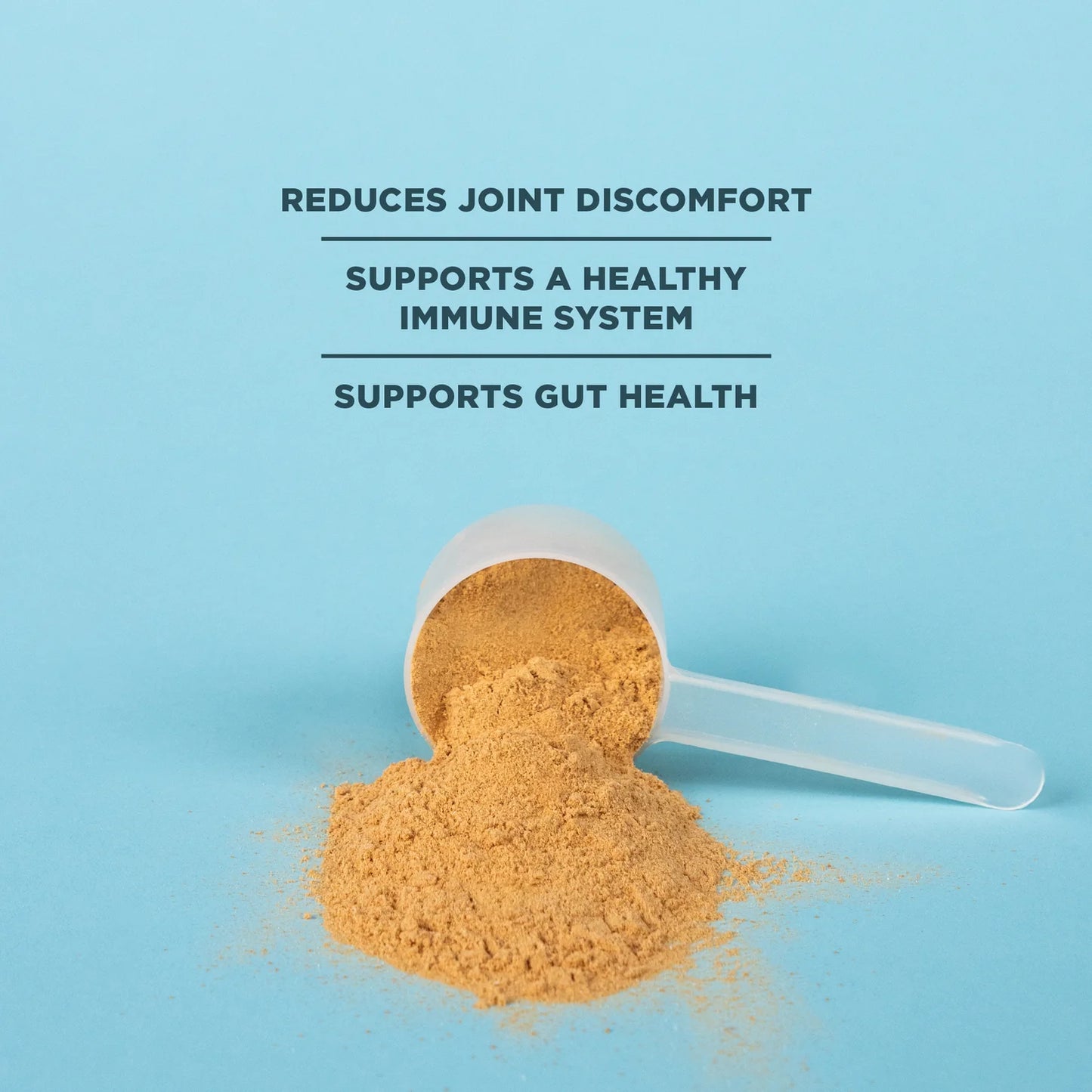 Ancient Nutrition Bone Broth Protein Vanilla