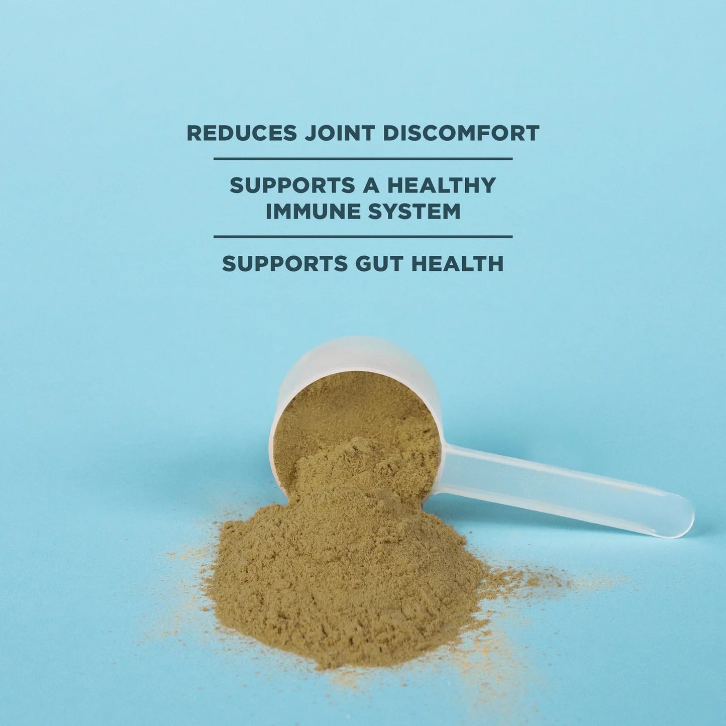 Ancient Nutrition Bone Broth Protein Chocalate