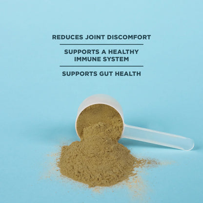 Ancient Nutrition Bone Broth Protein Chocalate