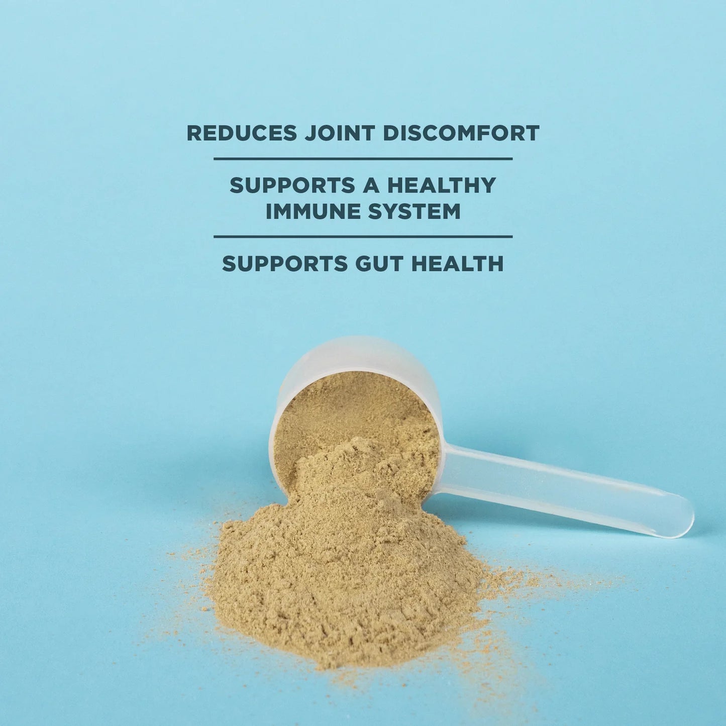 Ancient Nutrition Bone Broth Protein Pure